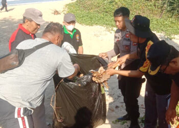 Peringati HLH Sedunia, LDII Gunungkidul Ikut Aksi Bersih Pantai Bersama Pemkab