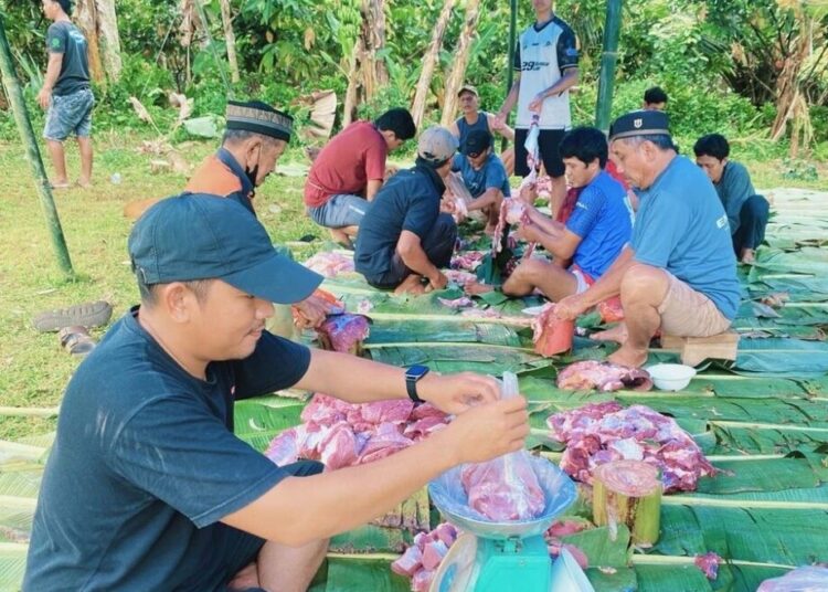 LDII Tomoni Gelar Salat Id dan Sembelih Tiga Sapi Kurban di Desa Sumber Alam