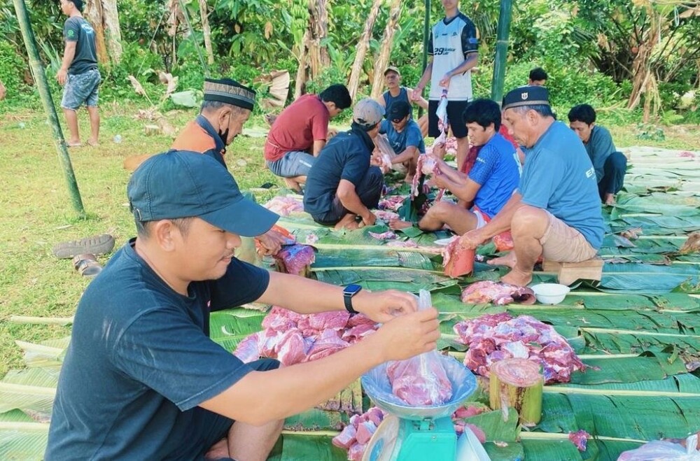 LDII Tomoni Gelar Salat Id dan Sembelih Tiga Sapi Kurban di Desa Sumber Alam