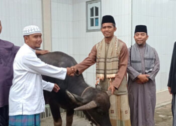 LDII Jambi Kurbankan 855 Ekor Hewan Ternak untuk Masyarakat
