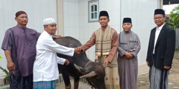 LDII Jambi Kurbankan 855 Ekor Hewan Ternak untuk Masyarakat
