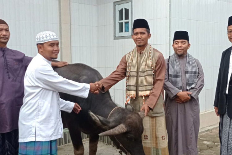 LDII Jambi Kurbankan 855 Ekor Hewan Ternak untuk Masyarakat