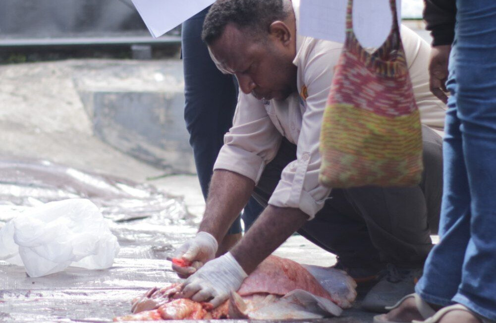 LDII Papua Barat Apresiasi Pengawasan Kesehatan Hewan Kurban, Pastikan Daging Aman Dikonsumsi