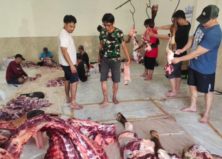 Idul Adha 2026, LDII Banten Distribusikan Ribuan Paket Daging Kurban