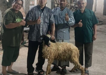 Wujud Toleransi Beragama, Muspija Banten Serahkan Hewan Kurban ke LDII