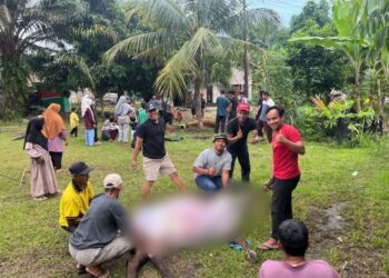 Ketua PC LDII Singkut Pimpin Penyembelihan Hewan Kurban Iduladha 1447 H