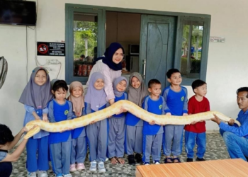 PAUD BIM Kota Jambi Kenalkan Flora dan Fauna Nusantara Melalui Pembelajaran Outdoor
