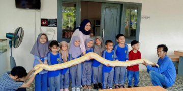 PAUD BIM Kota Jambi Kenalkan Flora dan Fauna Nusantara Melalui Pembelajaran Outdoor