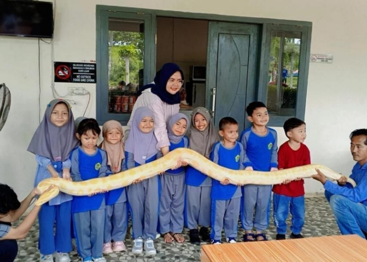 PAUD BIM Kota Jambi Kenalkan Flora dan Fauna Nusantara Melalui Pembelajaran Outdoor