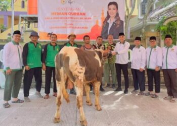 LDII Kepulauan Riau Terima Amanah Sapi Kurban dari Anggota DPD dan DPR RI