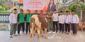 LDII Kepulauan Riau Terima Amanah Sapi Kurban dari Anggota DPD dan DPR RI
