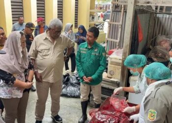 Bupati Mimika Tinjau Lokasi Penyembelihan, Apresiasi Manajemen Kurban LDII
