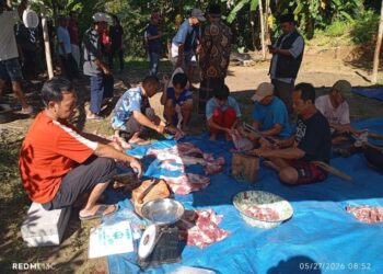 PAC LDII Bayah Timur Sembelih Satu Sapi dan Tiga Kambing untuk Warga