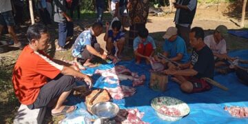 PAC LDII Bayah Timur Sembelih Satu Sapi dan Tiga Kambing untuk Warga