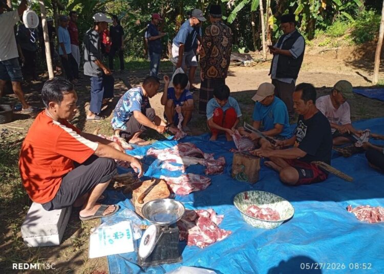 PAC LDII Bayah Timur Sembelih Satu Sapi dan Tiga Kambing untuk Warga