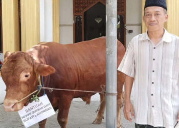 LDII Lamongan Terima Sapi Kurban Bantuan dari Bupati