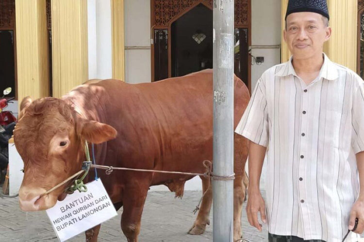 LDII Lamongan Terima Sapi Kurban Bantuan dari Bupati