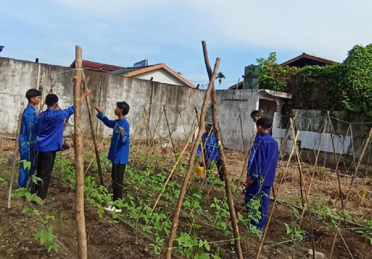 SMA Tri Sukses Latih Siswa Berwirausaha Lewat Budidaya Kacang Panjang