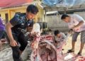 LDII Cikupa Sembelih 15 Sapi dan 11 Kambing, Distribusikan 1.400 Kantong Daging