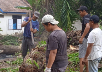 LDII Marga Manunggal Jaya Gotong Royong Siapkan Lahan Masjid