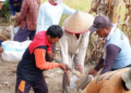 Kerja Bakti Nasional LDII Buay Madang Timur, Siap Sambut Panen Raya