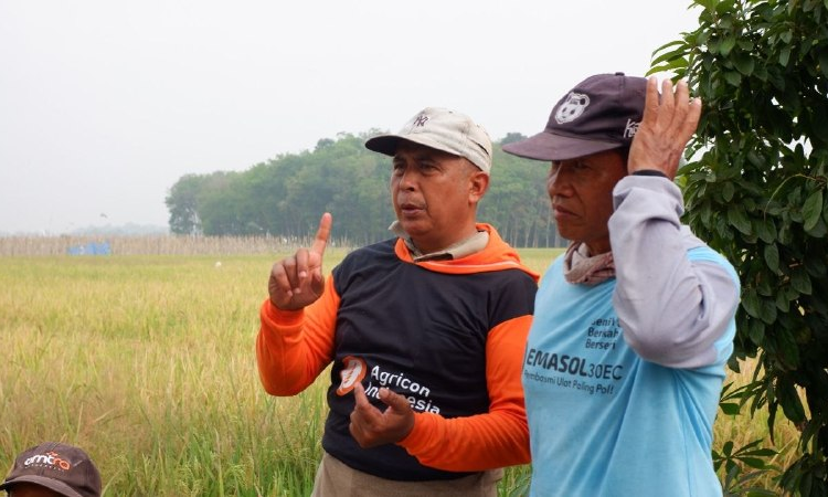 LDII Berasan Mulya Gelar Kerja Bakti, Perkuat Kerukunan Warga