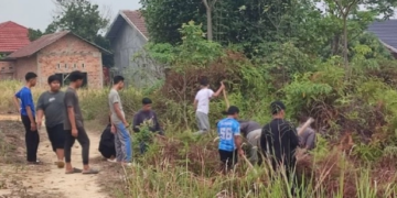 Ponpes Tawakkal Sebapo Bersihkan Area Asrama Putri Antisipasi Ular