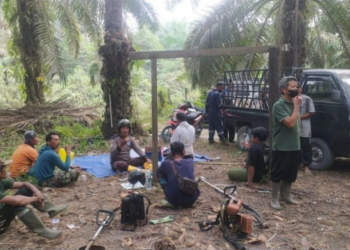 Warga LDII Tanjab Barat Gotong Royong Rawat Perkebunan Sawit