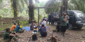 Warga LDII Tanjab Barat Gotong Royong Rawat Perkebunan Sawit